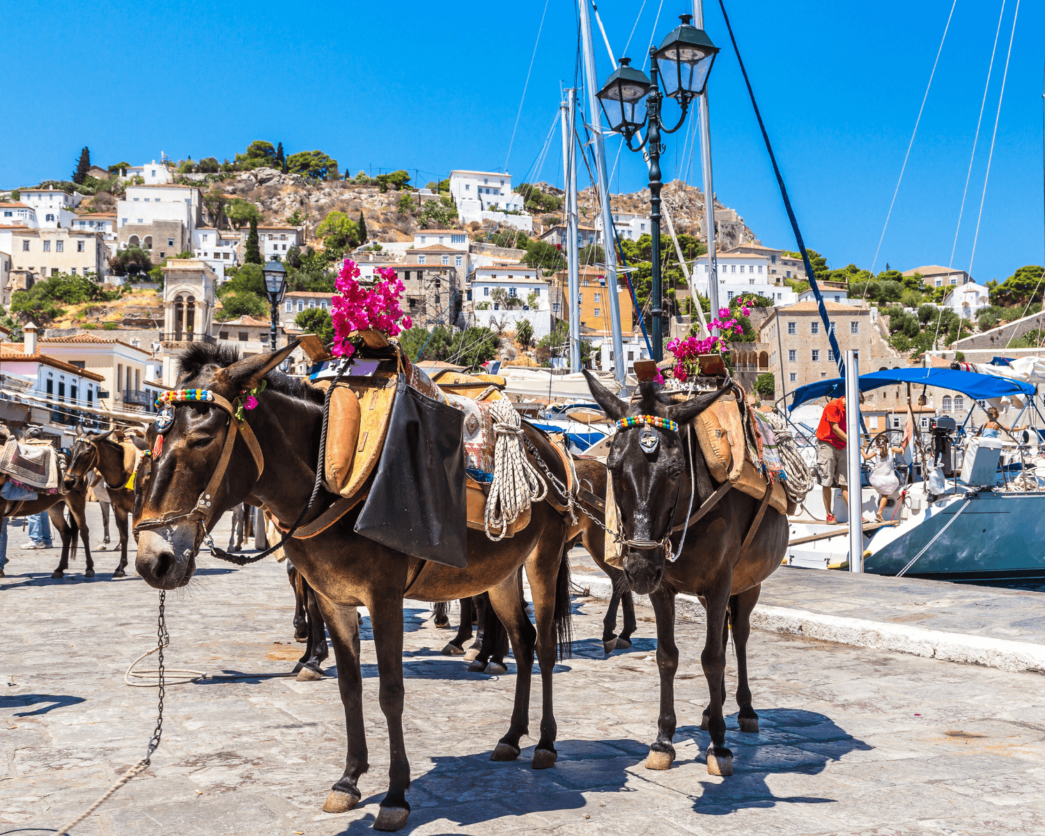 cose da vedere a Hydra